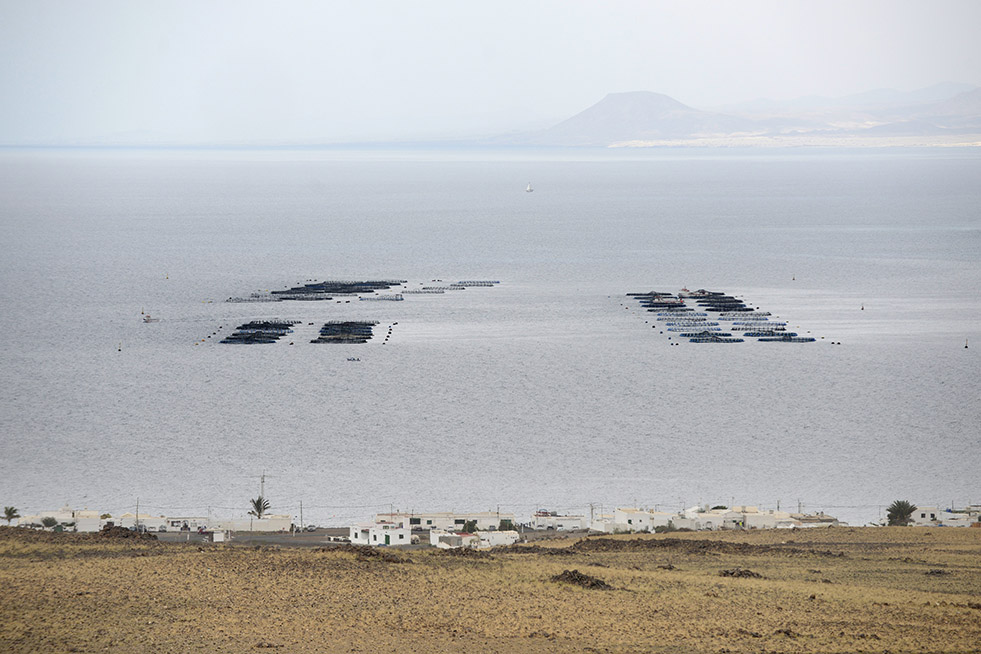 Las Jaulas De Playa Quemada Vuelven A Recibir La Bandera Negra De